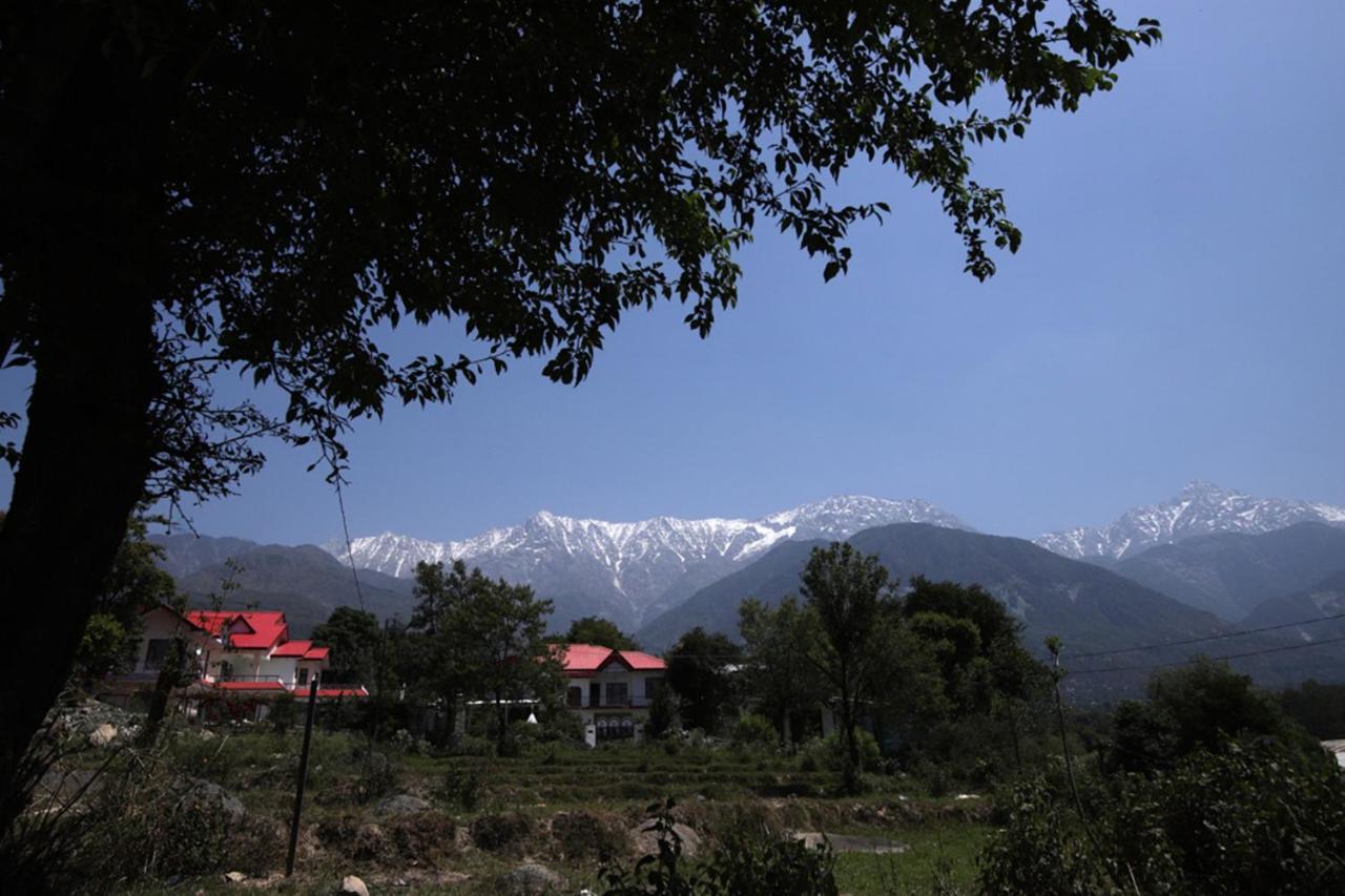 Harmony Blue Mcleodganj Hotell McLeod Ganj Exteriör bild